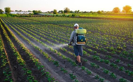 Pesticides for Better Crop Yield in Bangladesh